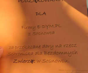 Piękny gest firmy z Sosnowca. Zrobili to dla zwierząt ze schroniska!