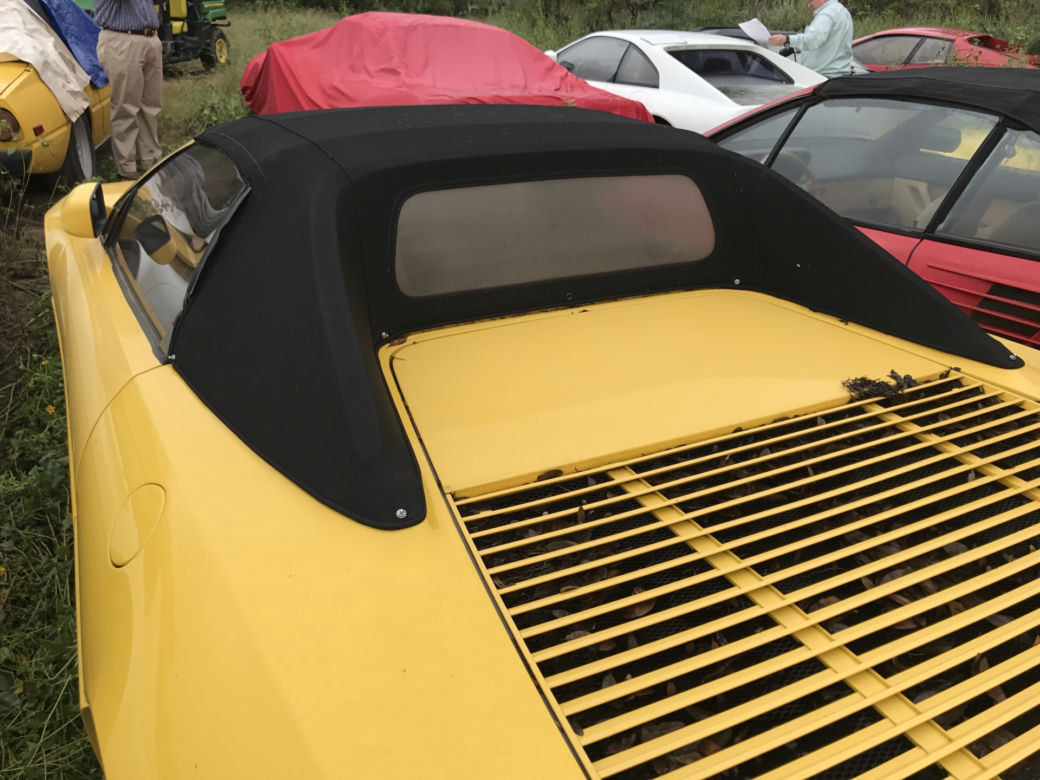 11 klasycznych Ferrari porzuconych w polu
