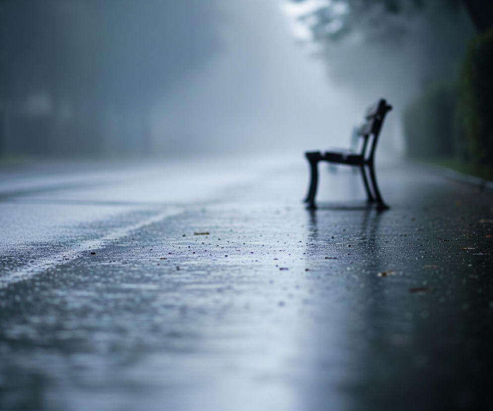 Na zdjęciu widoczna jest mokra nawierzchnia drogi lub ścieżki, błyszcząca od odbijającego się światła. Po prawej stronie, w oddali, stoi czarna ławka, której kształt jest lekko rozmyty. Tło stanowią rozmyte zarysy drzew i krzewów, zanurzone w gęstej, szarej mgle, tworzącej mglistą atmosferę. Cała scena utrzymana jest w chłodnych odcieniach szarości i błękitu.