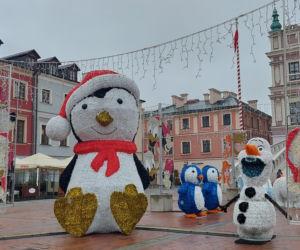 Bajkowa instalacja przed zamojski ratuszem