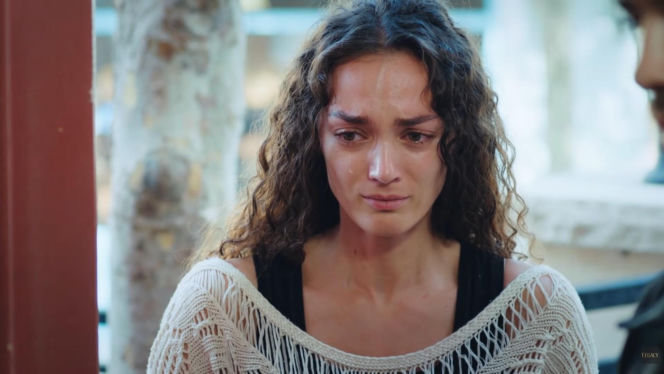 Dziedzictwo, odc. 888. Nana, Poyraz