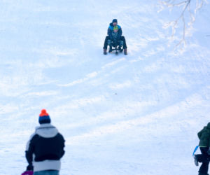 To najlepsza zimowa, darmowa atrakcja w Katowicach. Tłumy na torze saneczkowym