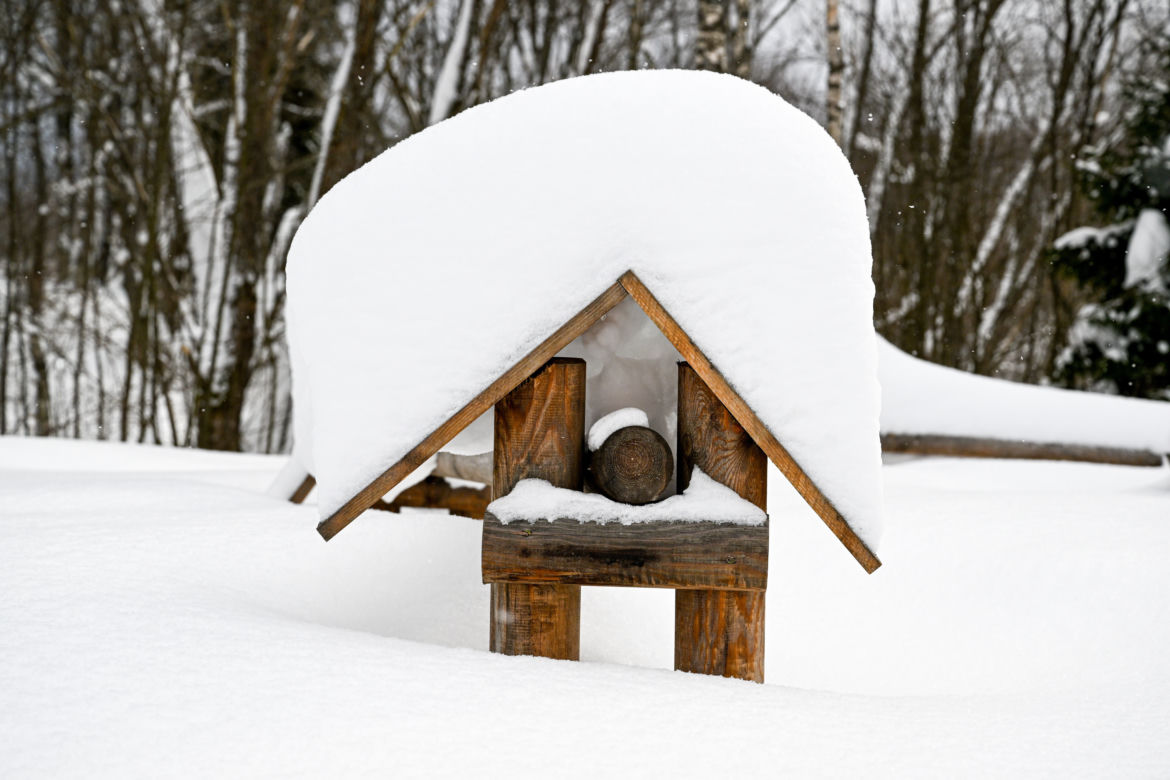 Bieszczady pod śniegiem