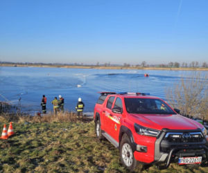 50 martwych łabędzi w Jutrosinie. Dlaczego padły?