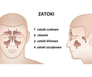 Zatoki