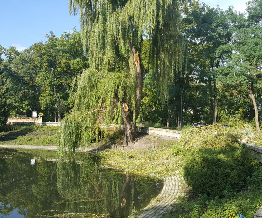 park miejski w Grudziądzu