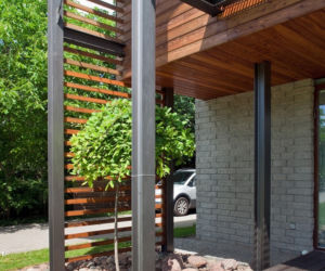 Taras, drzewo i pergola