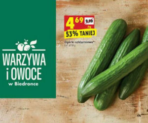 Ogórki szklarniowe 4,69 zł