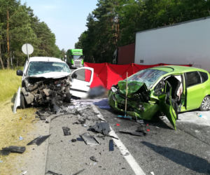 Koszmarny wypadek na DK nr 10 koło Cierpic. Nie żyje 55-letni kierowca
