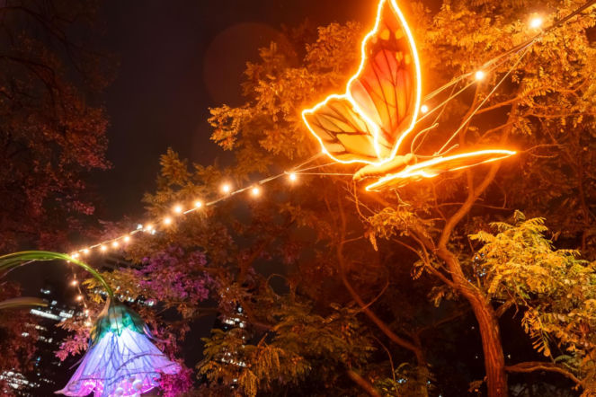Park Świętokrzyski niczym Tajemniczy Ogród – już jutro premiera całorocznej iluminacji - ZDM Warszawa