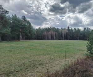 Placówka „Pierzyna”. Jak konspiratorzy przygotowywali się na przyjęcie Cichociemnych