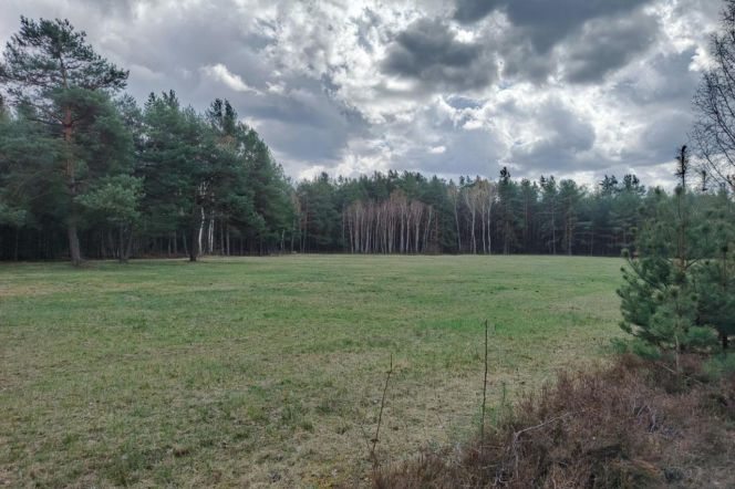 Placówka „Pierzyna”. Jak konspiratorzy przygotowywali się na przyjęcie Cichociemnych