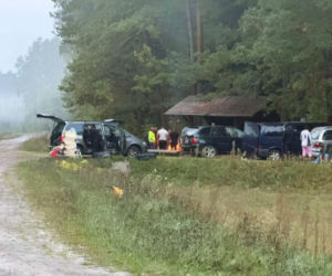 Grzybiarze z rumuńskimi tablicami pod Suchedniowem. Policja interweniowała po zgłoszeniu mieszkańca