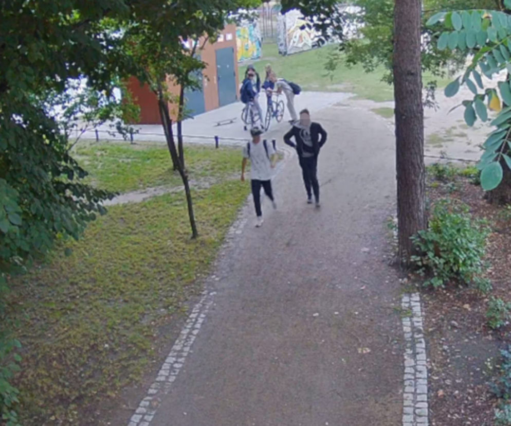 Gang młodocianych wandali zdemolował park miejski