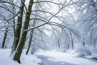Zimowe spacery w województwie śląskim. Gdzie mróz wyczarował bajkowy krajobraz?