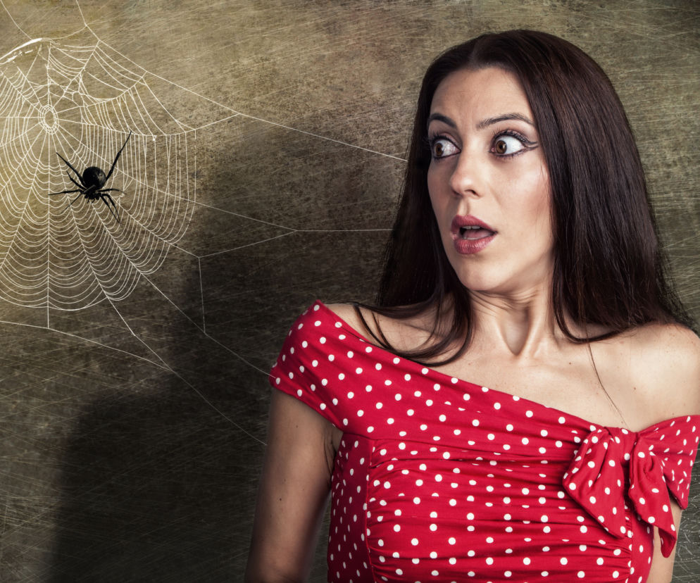 arachnofobia2