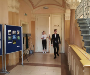 Matura 2019. Egzamin z matematyki mają w końcu za sobą. Jak z królową nauk poradzili sobie bydgoscy maturzyści? [AUDIO, ZDJĘCIA, WIDEO]