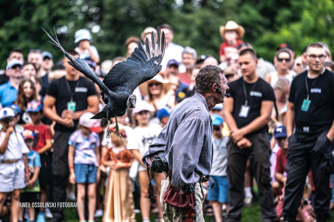 Co roku turniej rycerski na Zamku w Liwie przyciąga coraz większą rzeszę odbiorców