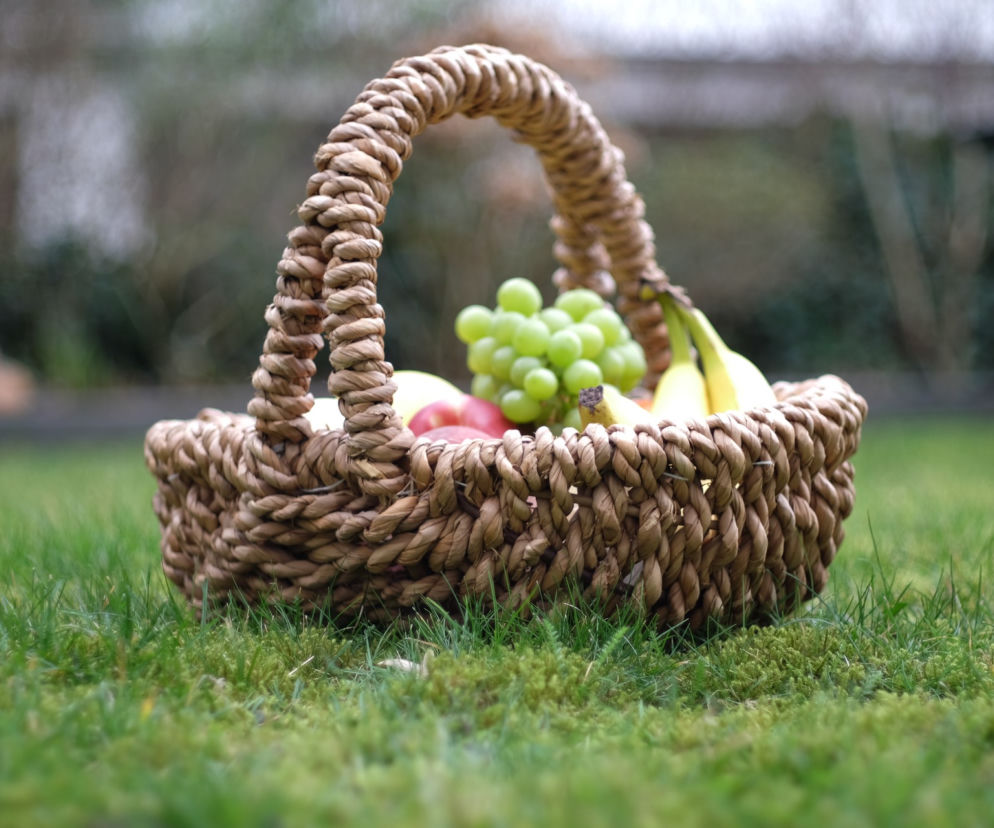 piknik