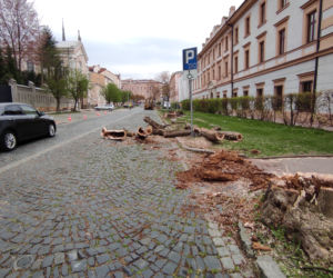 Rozpoczął się remont ulicy Piłsudskiego w Tarnowie