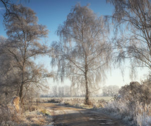 Podlasie na zdjęciach Małgorzaty Pawelczyk: Takiego klimatu jak na Podlasiu nie znajdziemy nigdzie