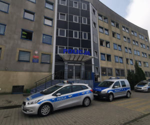 Ostrów. Znęcały się nad kotem - teraz im grożą. Policja wyjaśnia czy doszło do przestępstwa