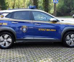 Czy strażnik miejski/gminny może zatrzymać pojazd będący w ruchu na drodze?