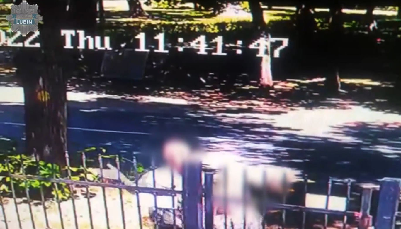 Brutalny atak w parku! Bił kobiety siedzące na ławce
