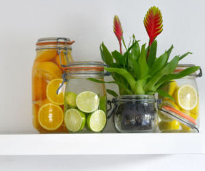 Rośliny ananasowate