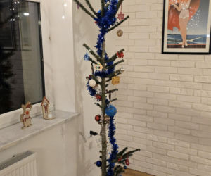 Nietypowa świąteczna tradycja. Co roku wybierają najbrzydsze drzewko w sklepie!