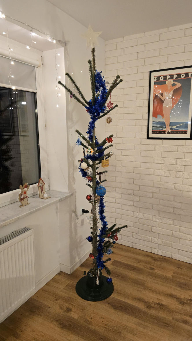 Nietypowa świąteczna tradycja. Co roku wybierają najbrzydsze drzewko w sklepie!