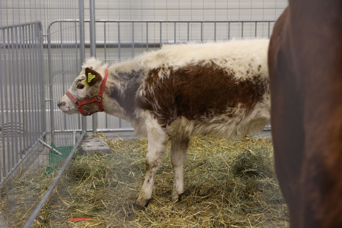 ZooPark 2023 w Lublinie przyciągnął tłumy!