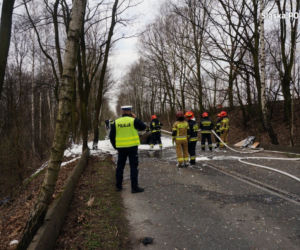 Koszmarny wypadek w Rybniku. Kierowca spłonął w samochodzie [ZDJĘCIA]