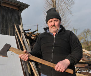 Wilkopsy terroryzują wieś