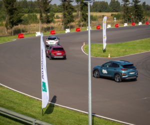 Energy Mix Arval 2020