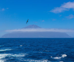 Tristan da Cunha