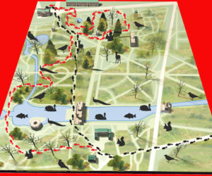 Mapka