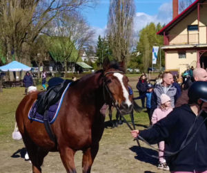 Konna święconka w Szczecinie