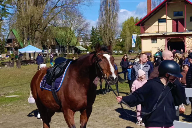Konna święconka w Szczecinie