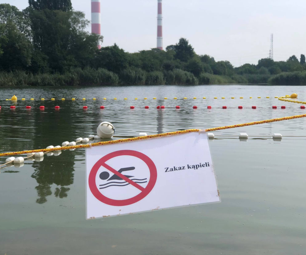 Sinice w Jeziorku Czerniakowskim