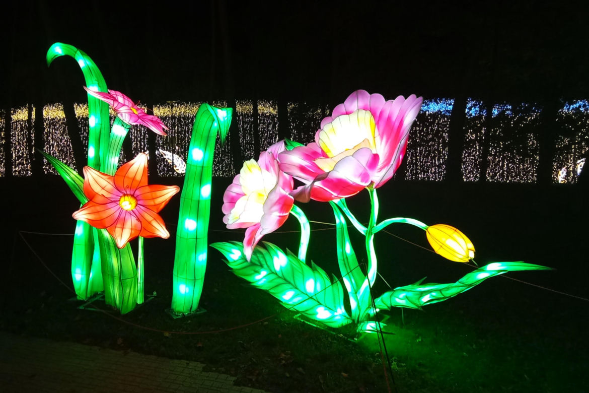 Garden of Lights w Szczecinie