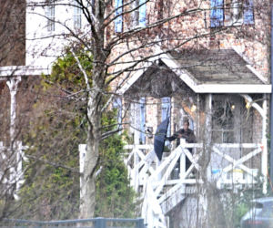 Prawdziwe paparazzi Rozenków nad morzem