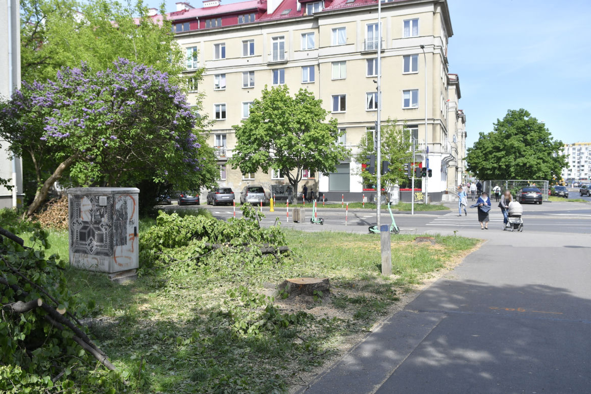 Wycinka drzew na Mokotowie. Mieszkańcy zbulwersowani, tramwajarze uspokajają