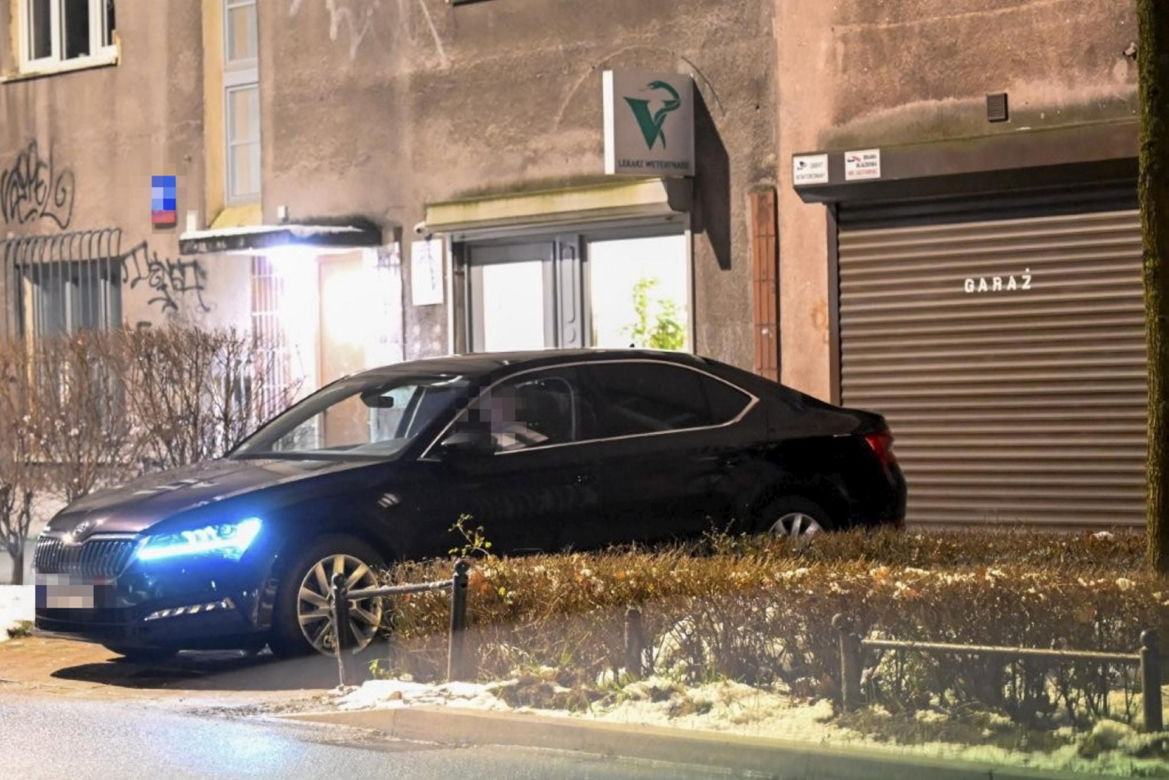 Kinga Duda zawiozła kota do weterynarza
