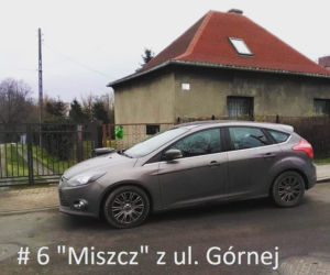 Miszczowie parkowania z Gliwic. Straż miejska pokazuje zdjęcia i mówi jak nie parkować [GALERIA]