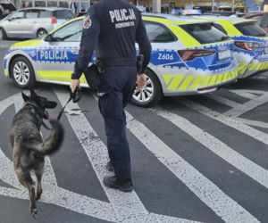 Masowe kontrole w całej Warszawie! Policja przeczesuje dworce i bazary!