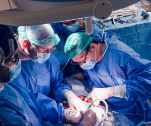 Lekarze WUM usunęli guza z wątroby poza ciałem. Pierwsza taka operacja w Polsce