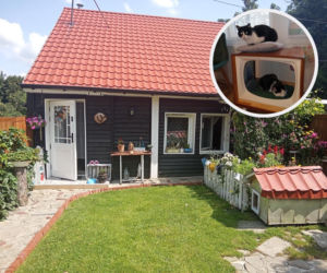 To była ruina do rozbiórki. Teraz – nostalgiczny dom. „Chatka jak u prababci“ 