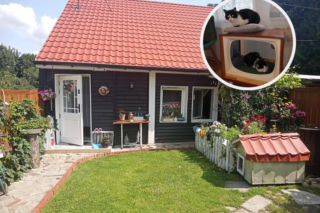 To była ruina do rozbiórki. Teraz – nostalgiczny wiejski dom. „Potencjał przytulnej chatki jak u prababci“ 