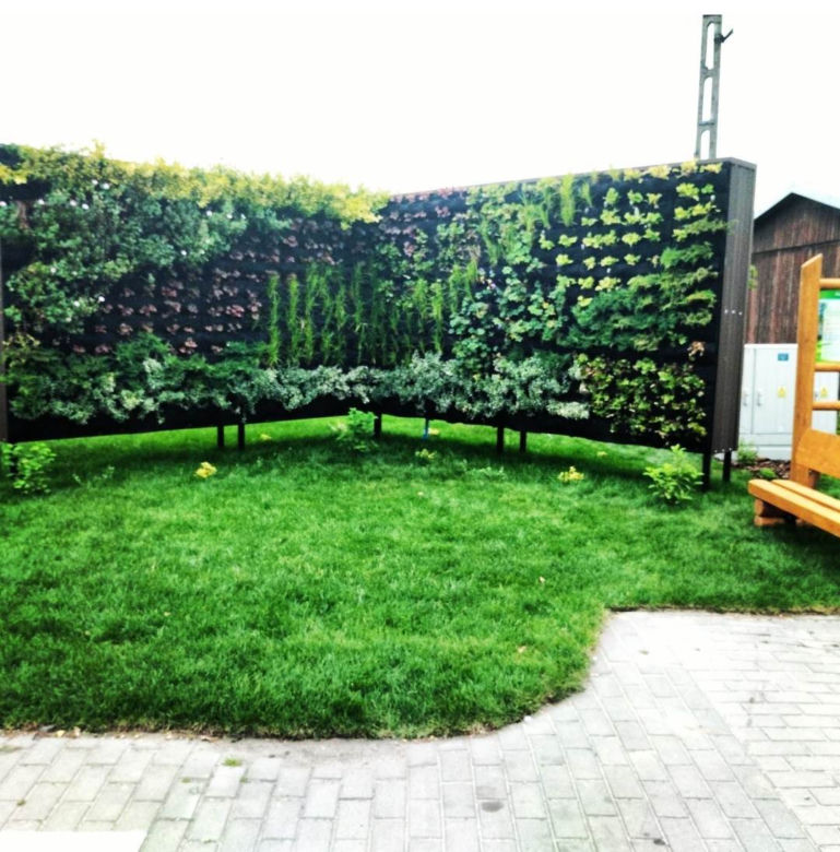 Ogród wertykalny w Kamionce